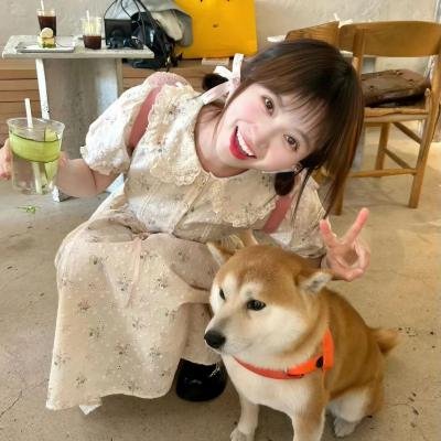 我的野蛮网友